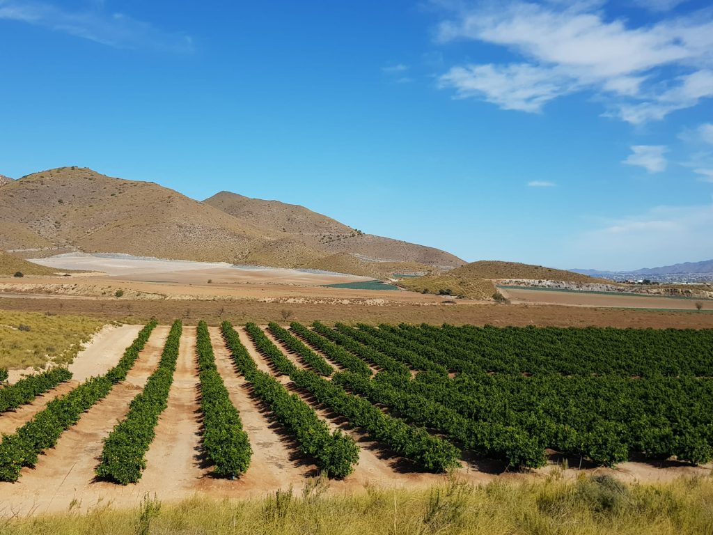 Finca asesorada